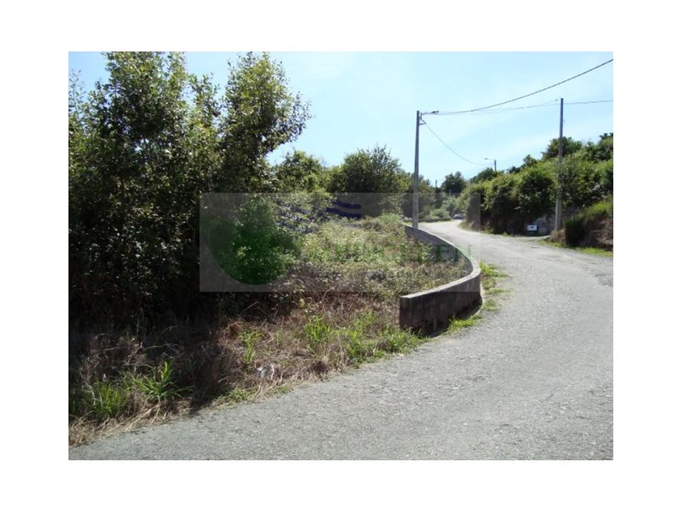 Terra em Sever do Vouga, Aveiro - foto 1