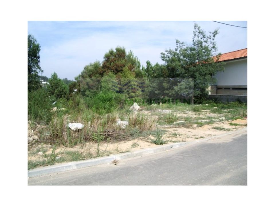 Helårsgrund i Sever do Vouga, Aveiro - foto 2