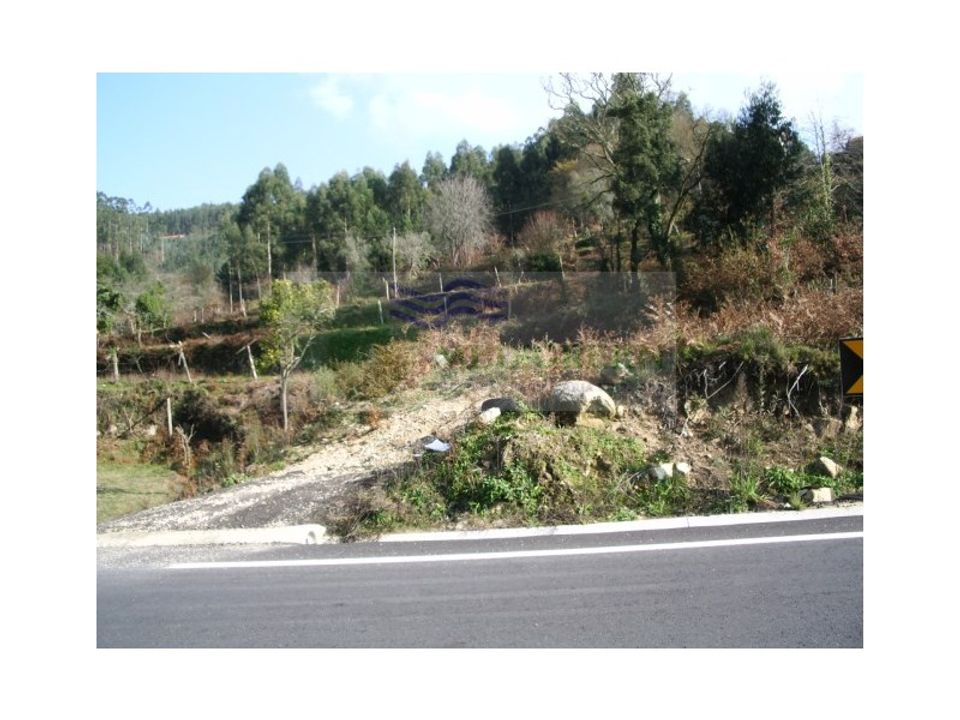 Helårsgrund i Sever do Vouga, Aveiro - foto 4