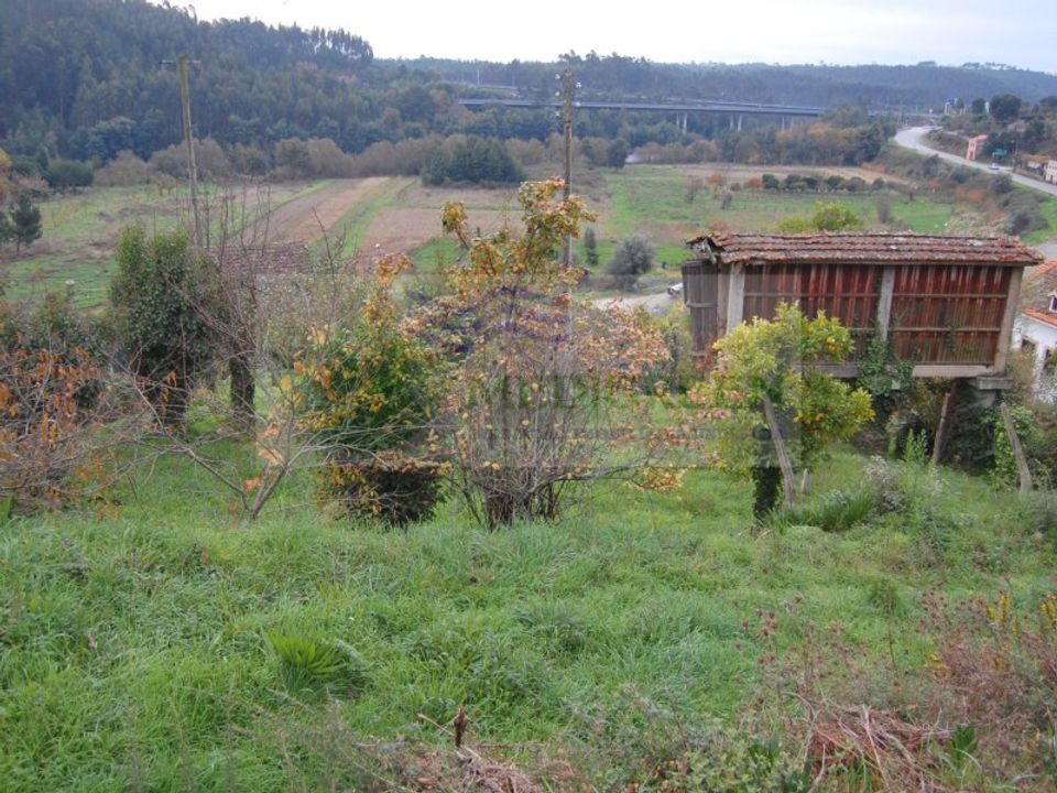 Farm i Macinhata do Vouga, Aveiro - foto 3