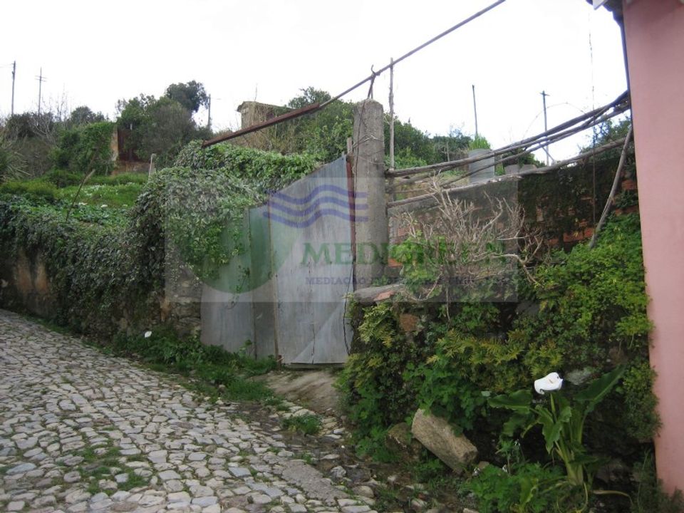 Farm i Macinhata do Vouga, Aveiro - foto 4