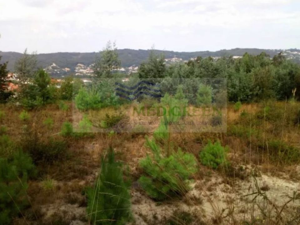 Działka: Sever do Vouga, Aveiro – zdjęcie 4
