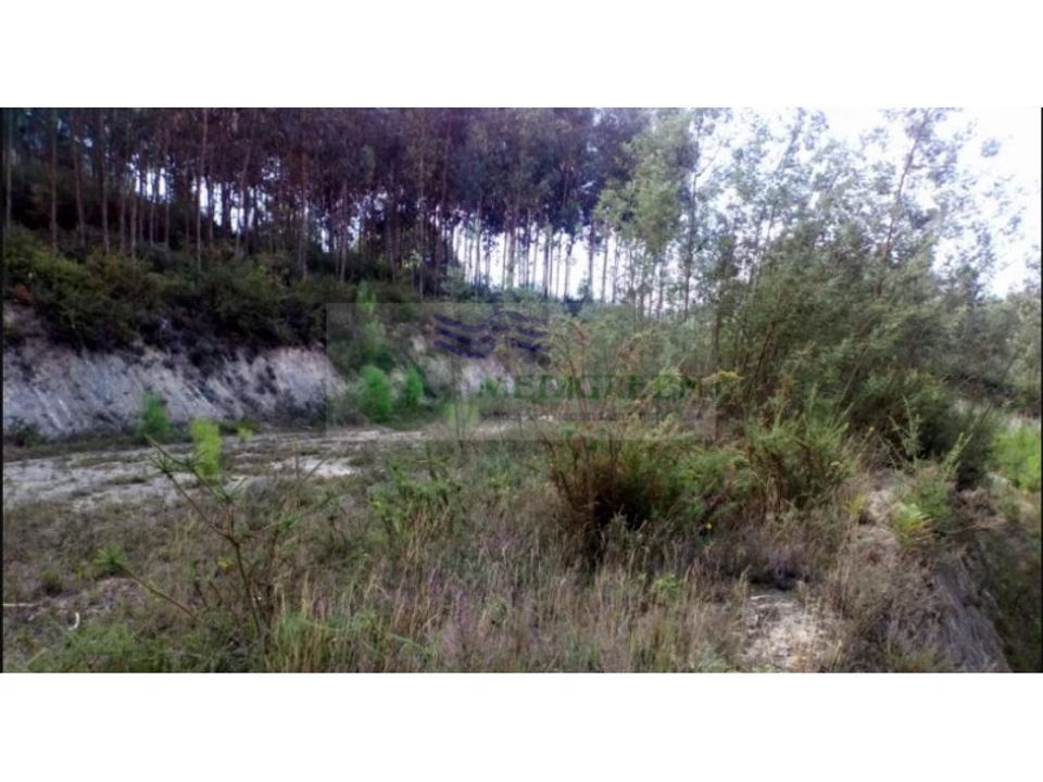Działka: Sever do Vouga, Aveiro – zdjęcie 5