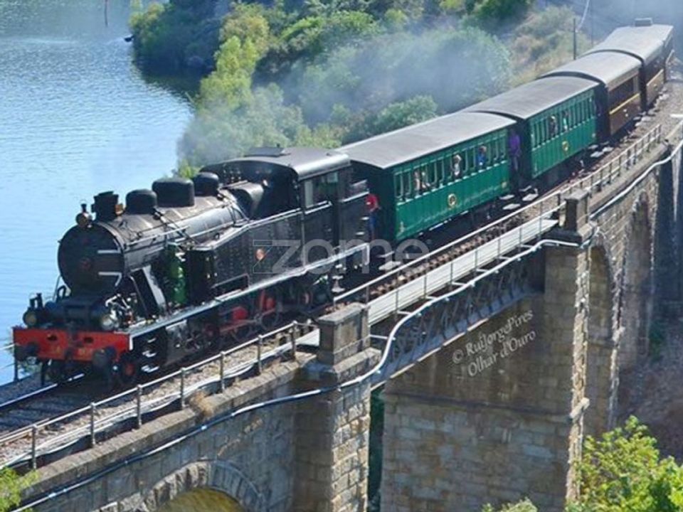 Gospodarstwo: Ervedosa do Douro, Viseu – zdjęcie 5