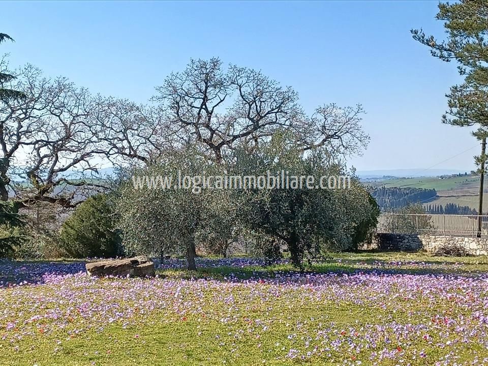 Villa i Paciano, Perugia - foto 3