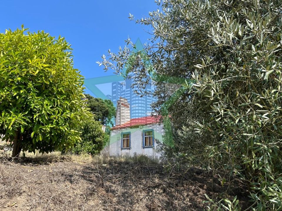 Villa i Vila Nova da Barquinha, Santarem - foto 5