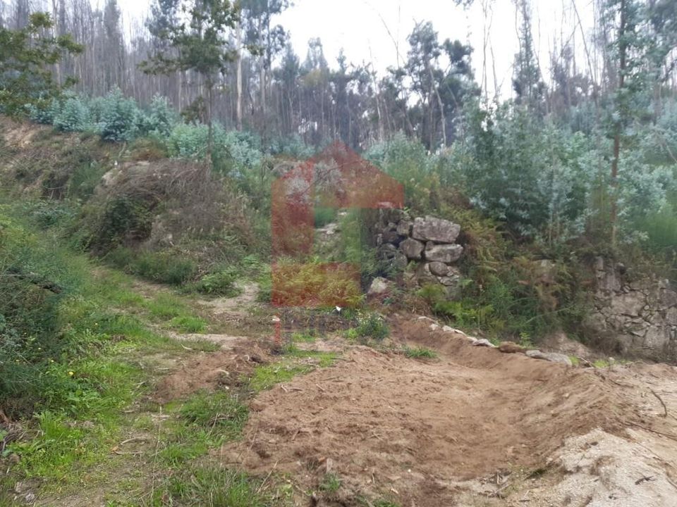 Helårsgrund i Vila Verde, Braga - foto 1