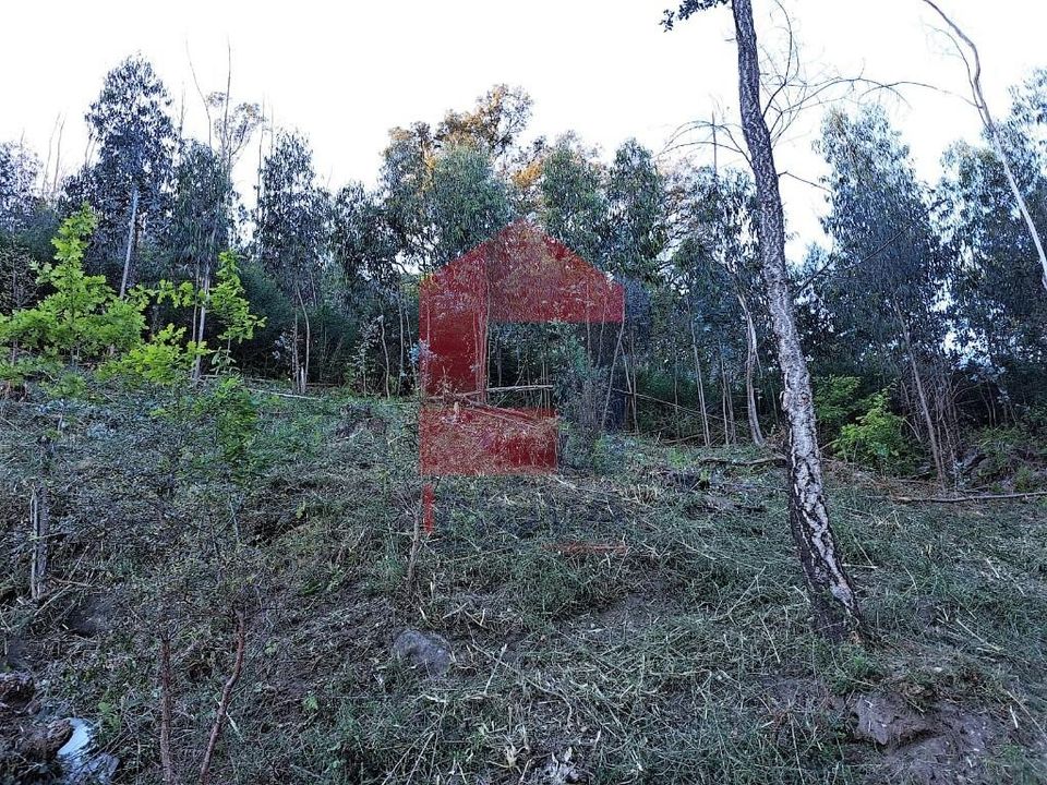 Helårsgrund i Vila Verde, Braga - foto 3