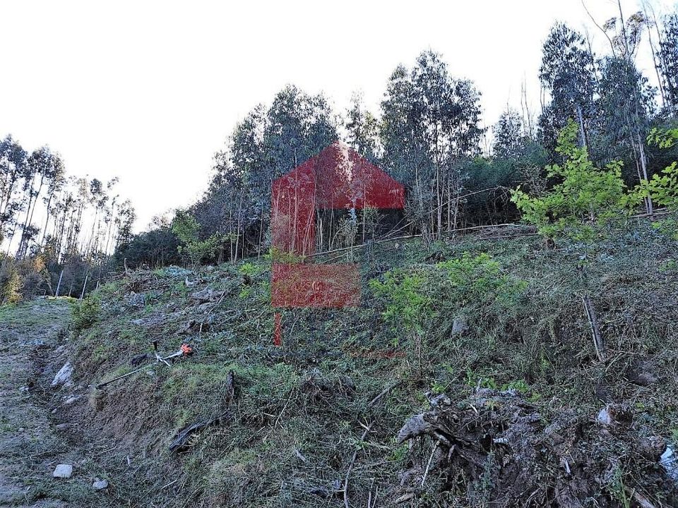 Helårsgrund i Vila Verde, Braga - foto 4