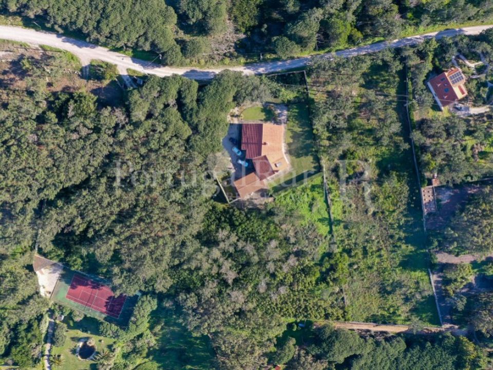 Farm i Almocageme, Lisbon - foto 3