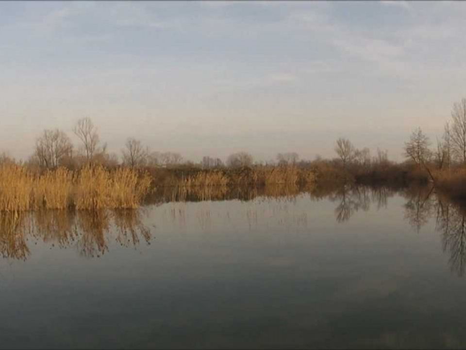 Helårsgrund i Casale sul Sile, Treviso - foto 2