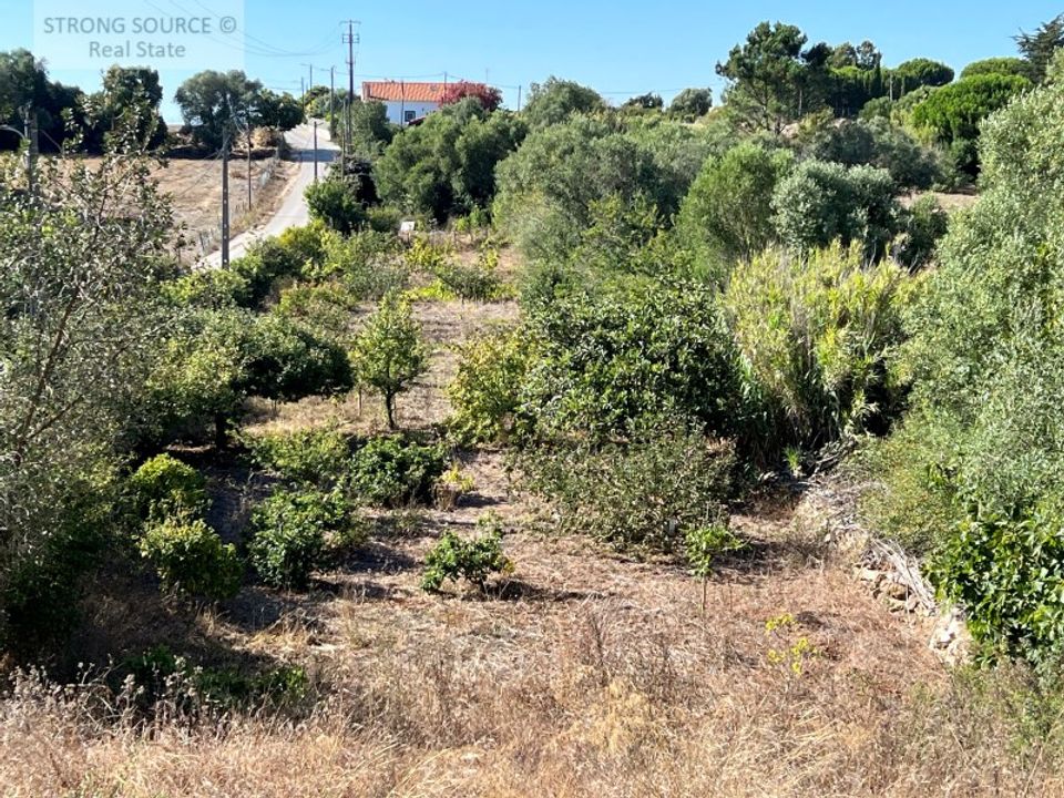 Helårsgrund i Sesimbra, Setubal - foto 4