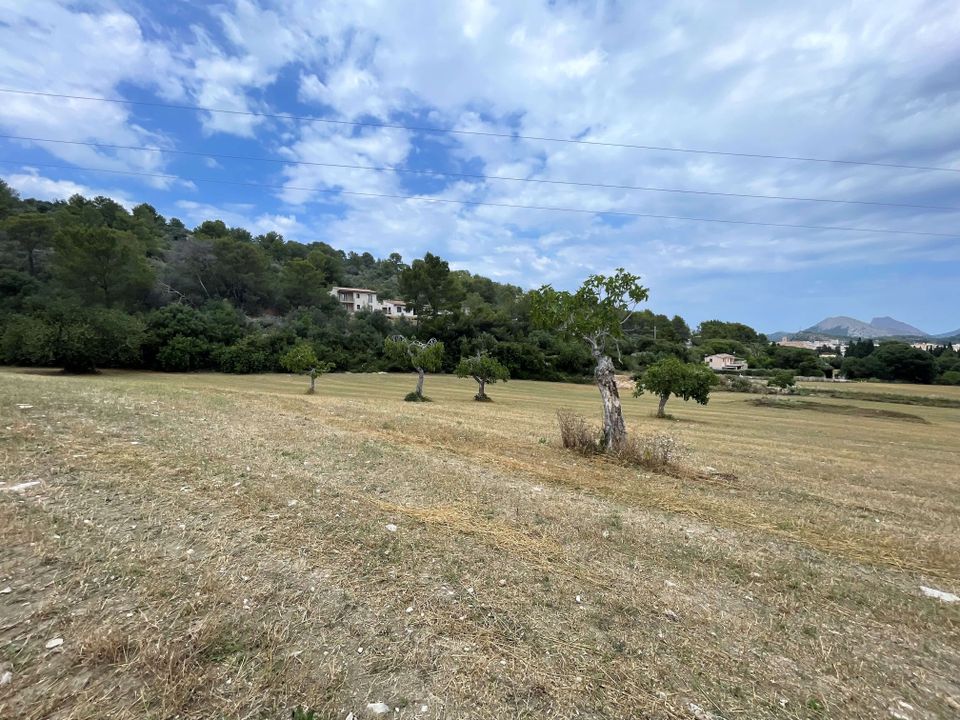 Helårsgrund i Pollenca, Mallorca - foto 2