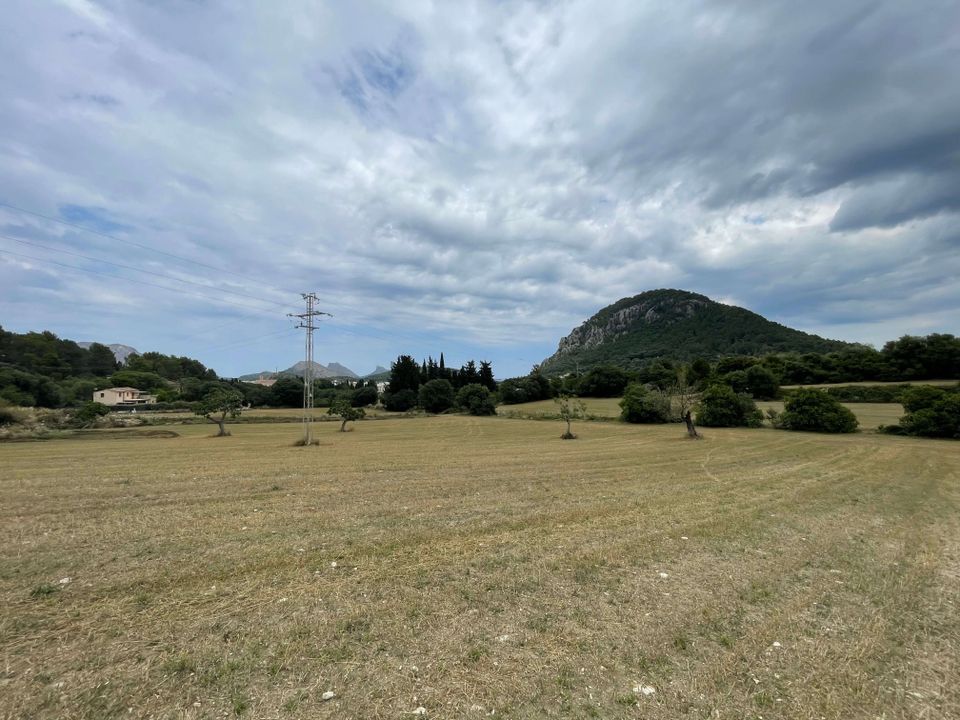 Helårsgrund i Pollenca, Mallorca - foto 3