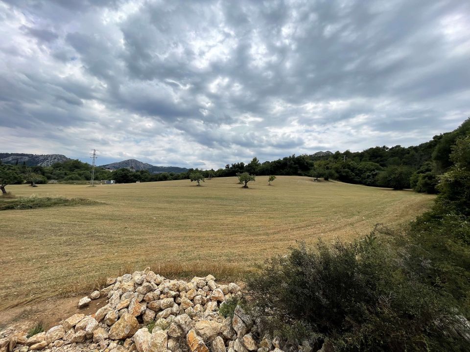 Helårsgrund i Pollenca, Mallorca - foto 4