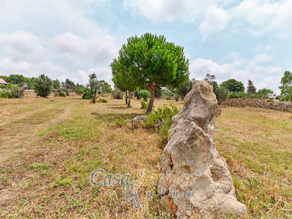 Helårsgrund i Racale, Lecce - foto 2