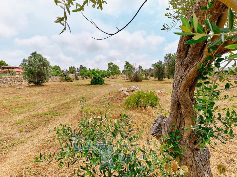 Helårsgrund i Racale, Lecce - foto 3