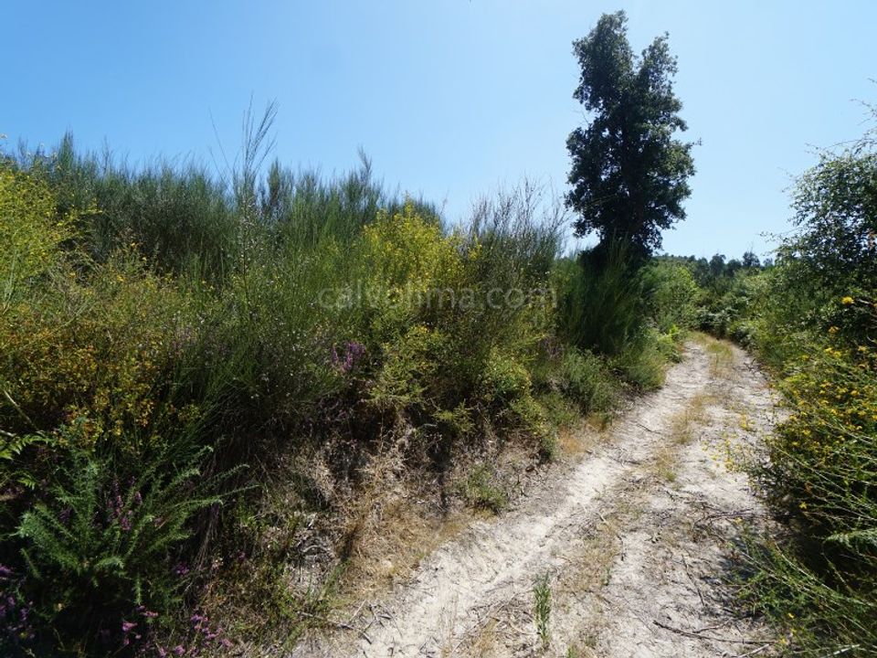 Helårsgrund i Bela, Viana do Castelo - foto 1
