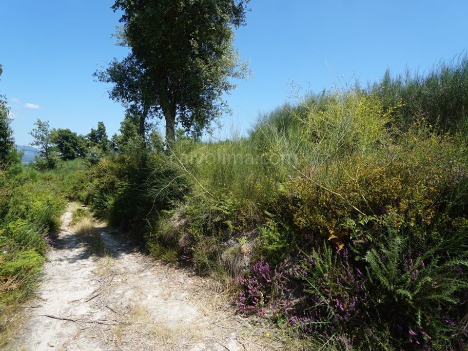 Helårsgrund i Bela, Viana do Castelo - foto 2