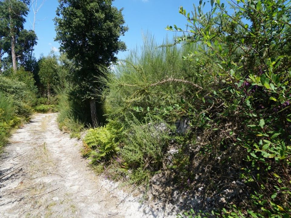 Helårsgrund i Bela, Viana do Castelo - foto 4