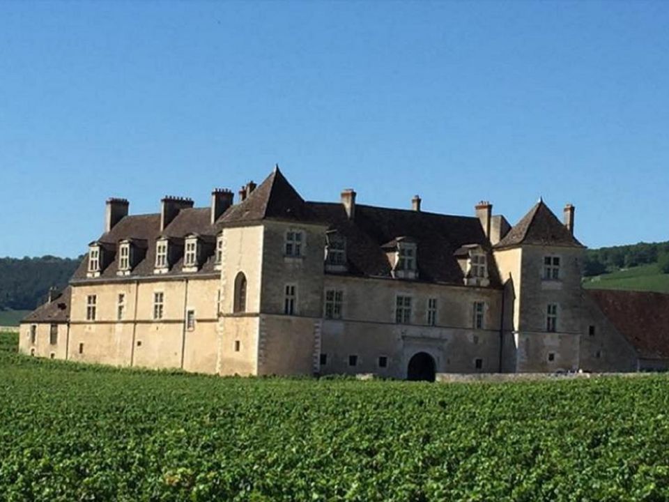 Helårsgrund i Chevigny-Saint-Sauveur, Cote-d'Or - foto 3