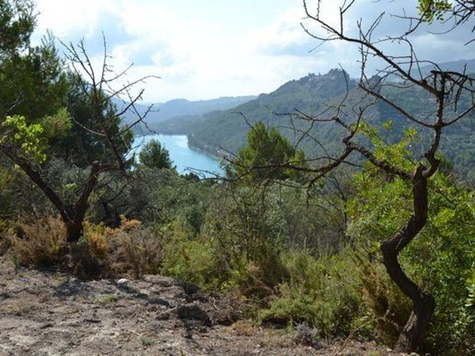 Terra a Beniarda, Alicante - foto 1