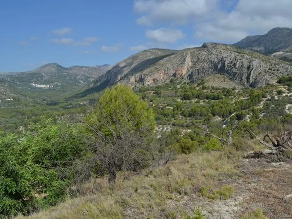 Terra a Beniarda, Alicante - foto 2