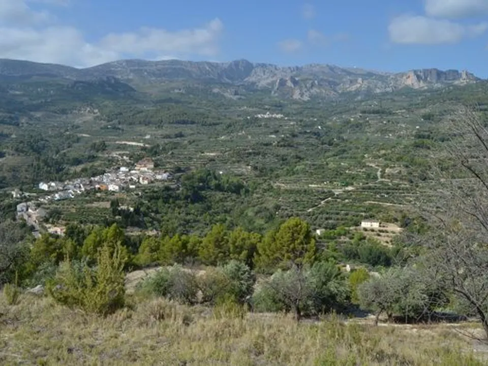 Terra a Beniarda, Alicante - foto 4