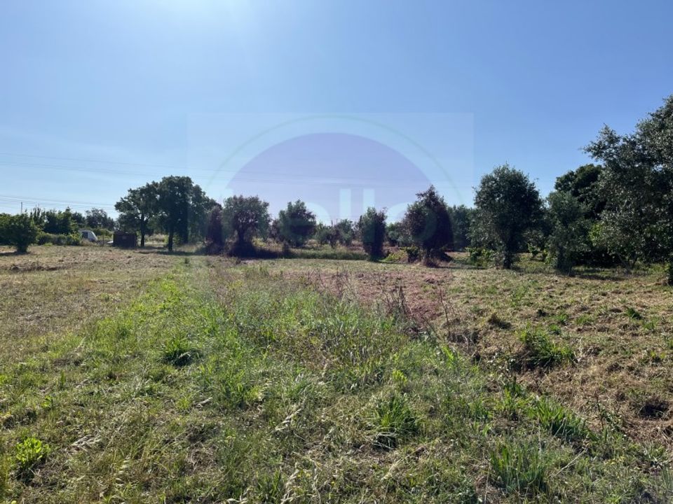 Helårsgrund i Tomar, Santarem - foto 1