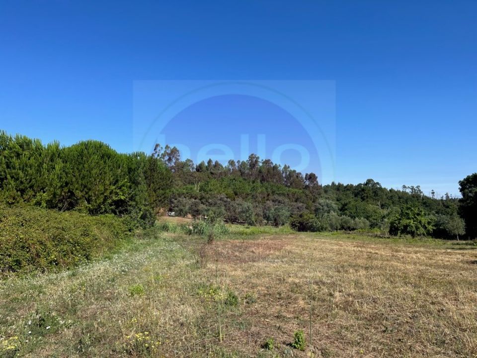 Helårsgrund i Tomar, Santarem - foto 5
