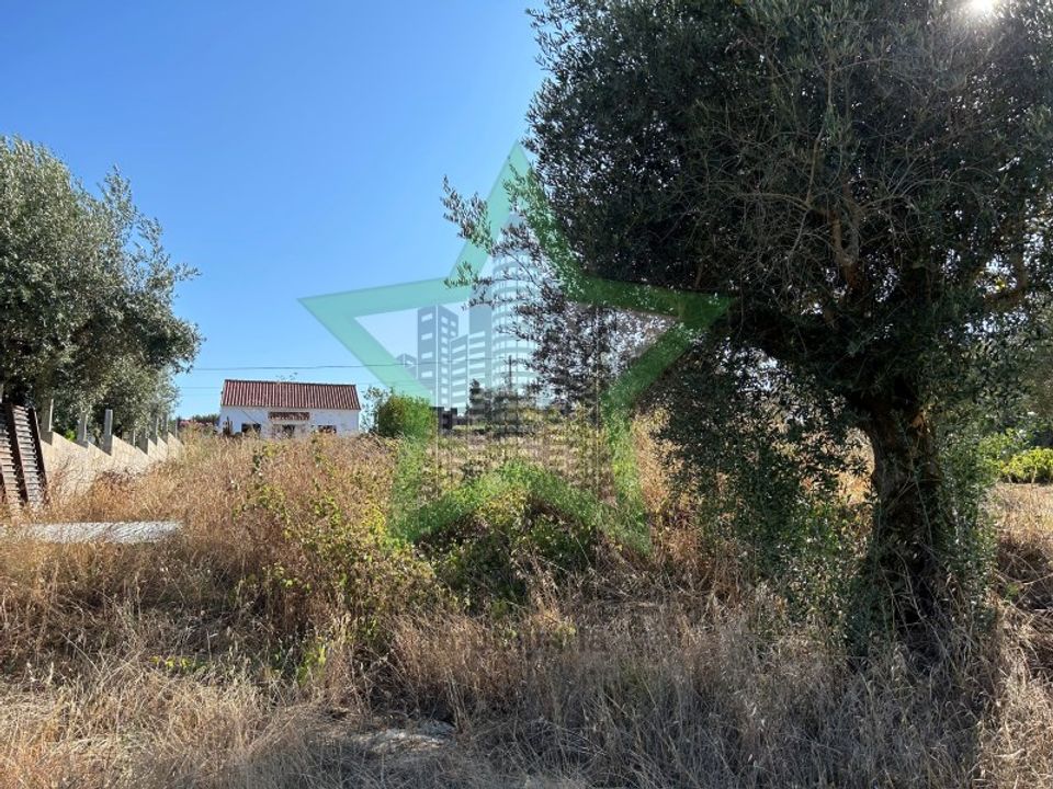 Helårsgrund i Asseiceira, Santarem - foto 4