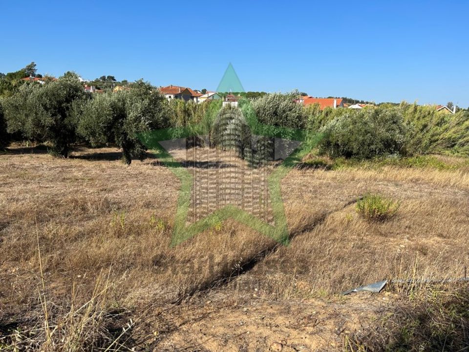Helårsgrund i Asseiceira, Santarem - foto 5