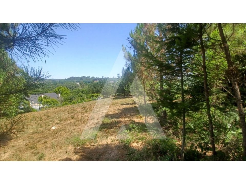 Helårsgrund i Viseu, Viseu - foto 2