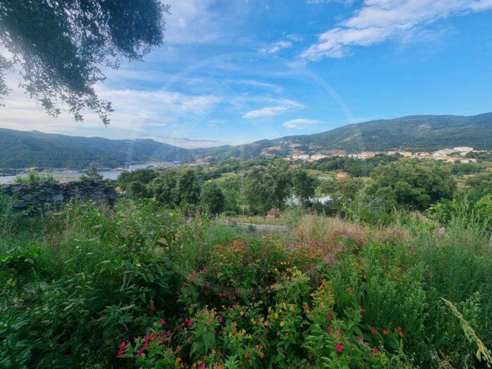 Tomt i Ribeira de Pena, Vila Real - bilde 4