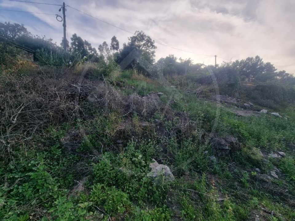 Tomt i Ribeira de Pena, Vila Real - bilde 5