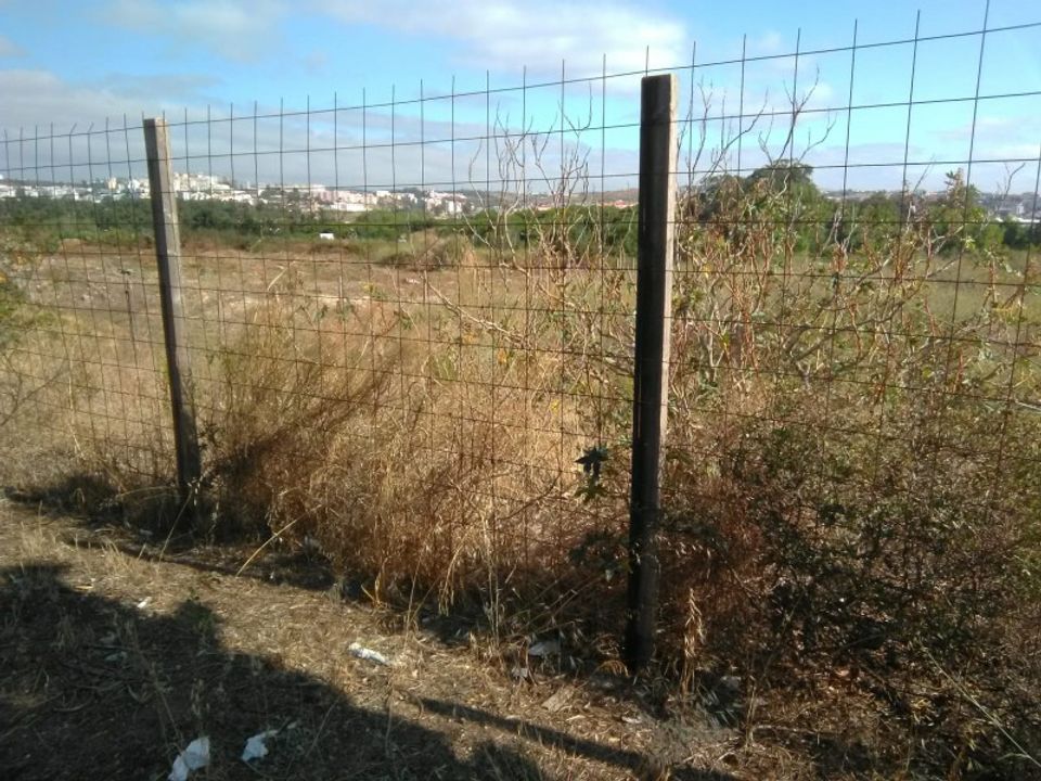 Tomt i Samora Correia, Santarem - bilde 3