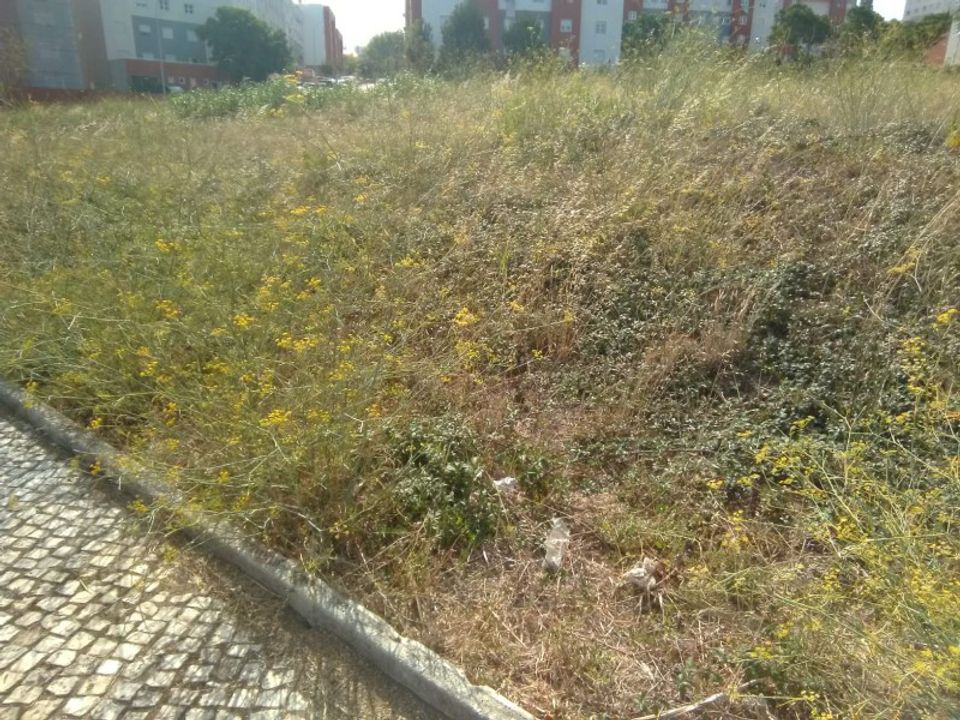 Tomt i Samora Correia, Santarem - bilde 3