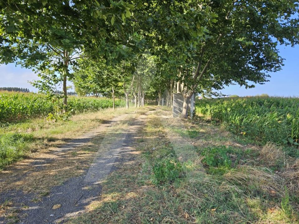 Helårsgrund i Ilhavo, Aveiro - foto 2