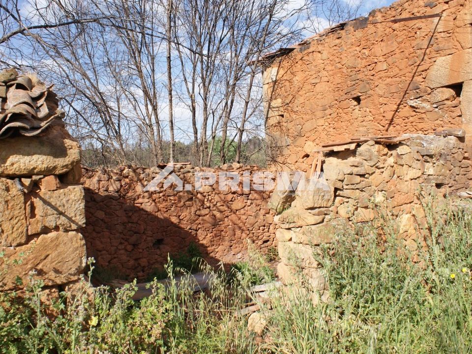Farm i Fundao, Castelo Branco - foto 3