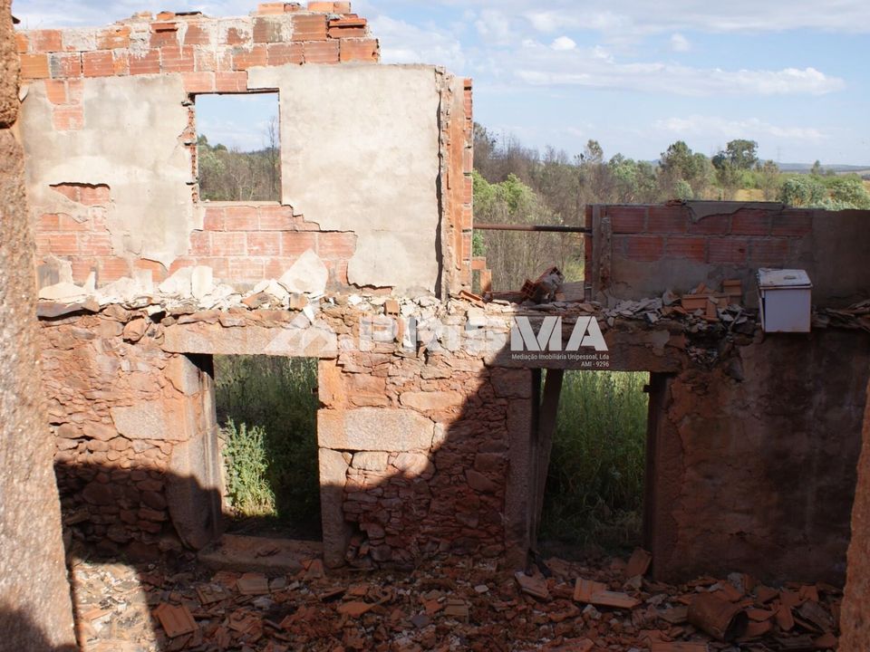Farm i Fundao, Castelo Branco - foto 4