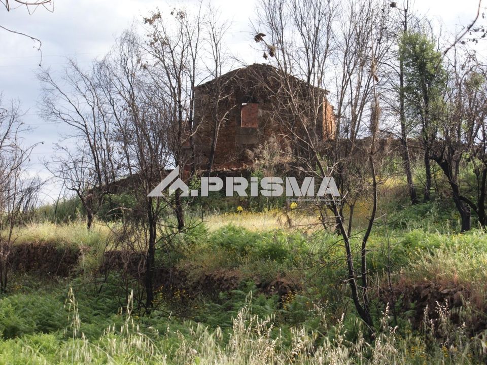 Farm i Fundao, Castelo Branco - foto 1
