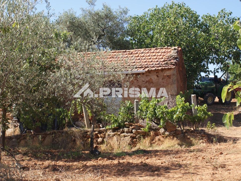 Farm i Fundao, Castelo Branco - foto 1