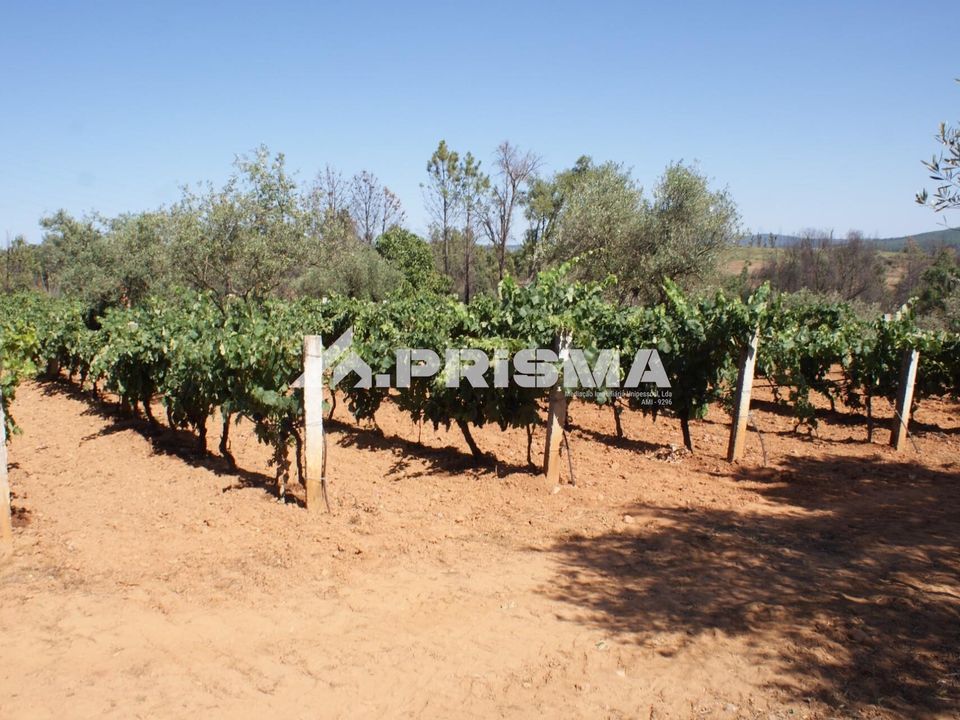Farm i Fundao, Castelo Branco - foto 2