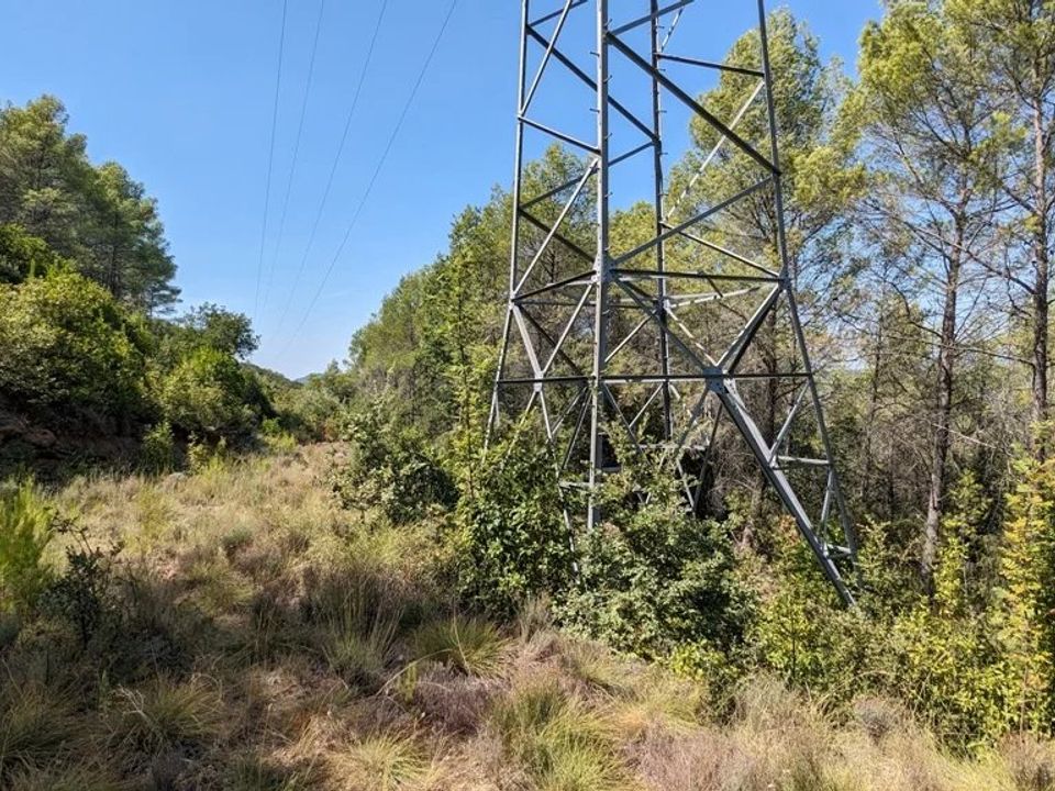 Działka: Carcès, Var – zdjęcie 5