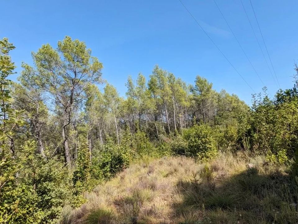 Działka: Carcès, Var – zdjęcie 1