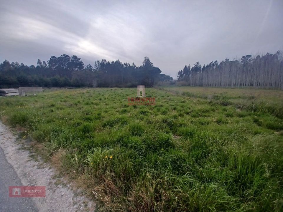 Helårsgrund i Casal dos Claros, Leiria - foto 1