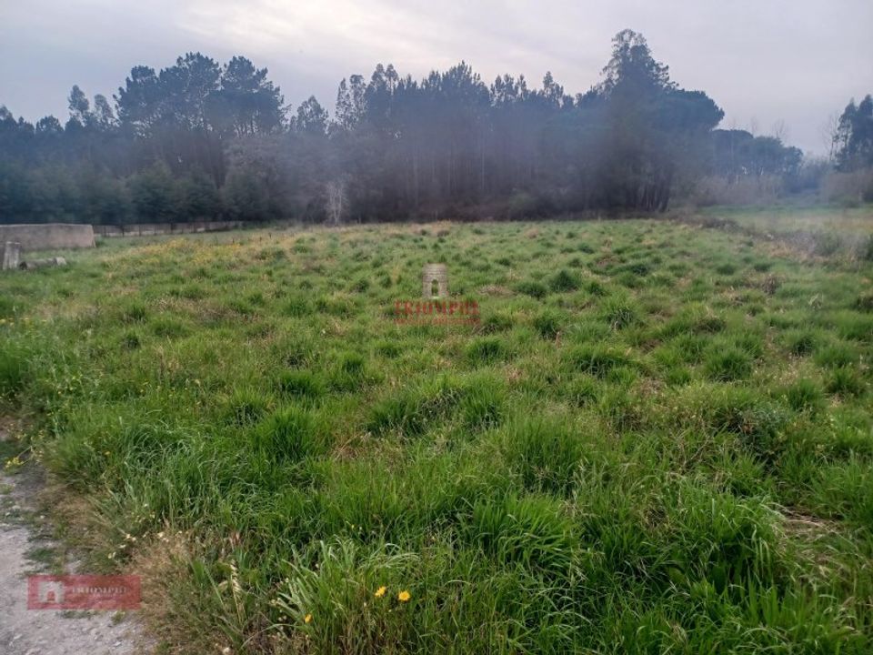 Helårsgrund i Casal dos Claros, Leiria - foto 2