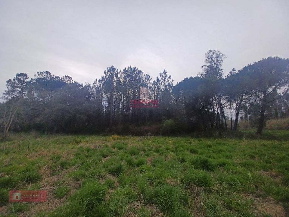 Helårsgrund i Casal dos Claros, Leiria - foto 3