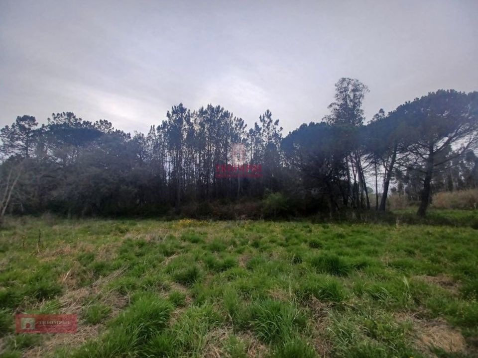 Helårsgrund i Casal dos Claros, Leiria - foto 4
