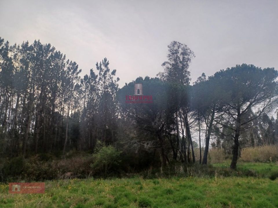 Helårsgrund i Casal dos Claros, Leiria - foto 5